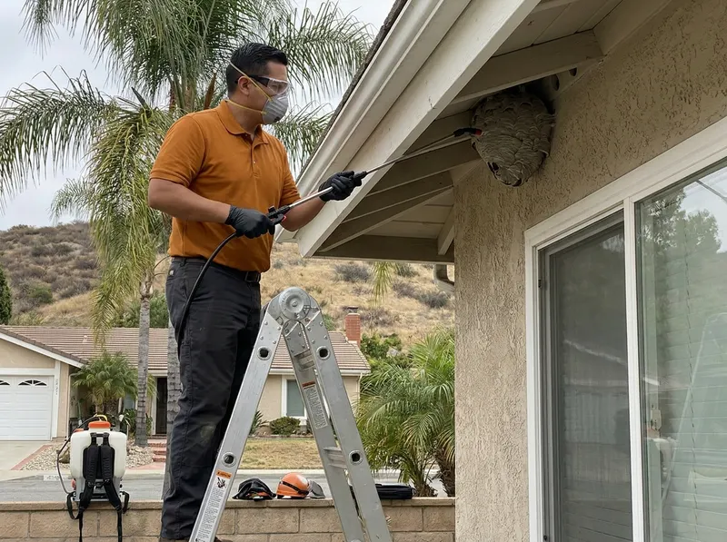 Wasp & Stinging Insect Removal in Pomona, CA